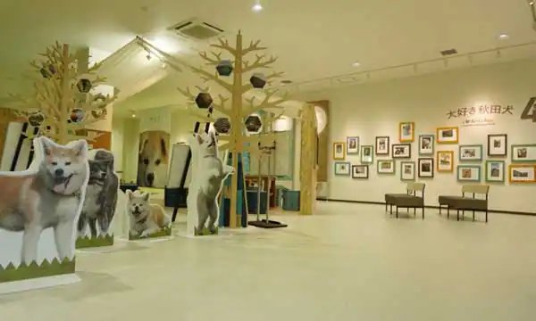 🏛️ 야지마 향토 자료관 (야지마 쿄도 시료칸)